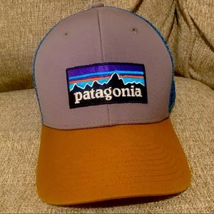 Patagonia snap back